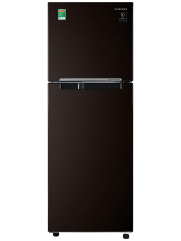 Tủ lạnh 2 cánh Samsung Inverter RT22M4032BY/SV