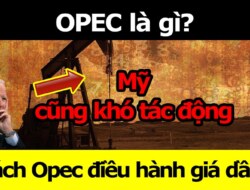 OPEC là gì? Vì sao OPEC có thể quyết định giá dầu thế giới?